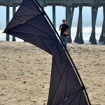 Huntington Beach Kite Party