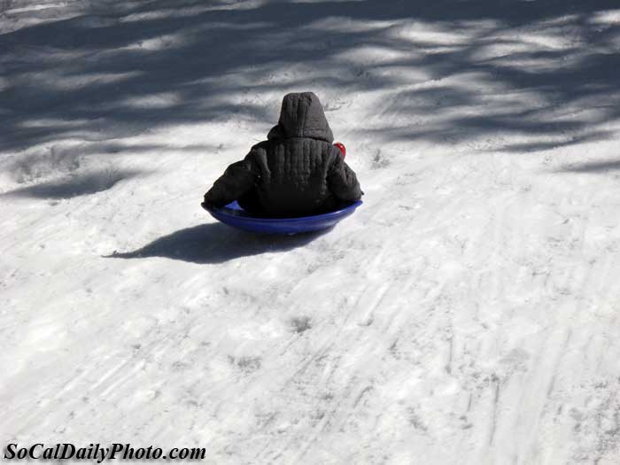 sledding in Big Bear