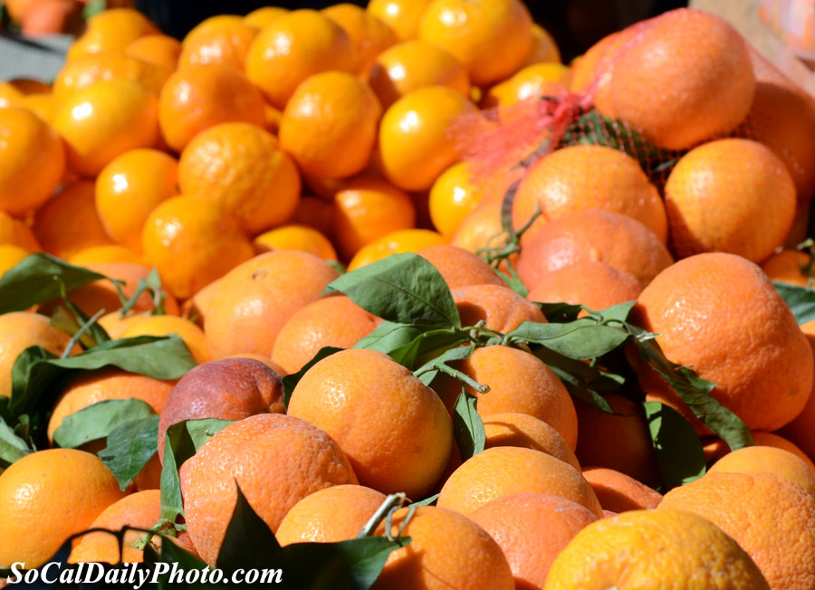 farmers market at huntington beach pier