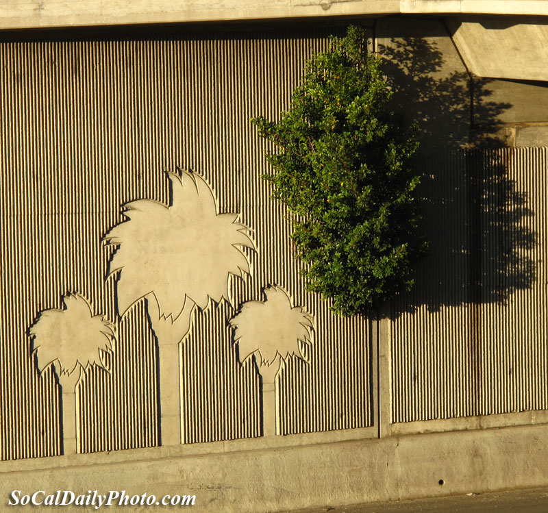 tree grows on freeway wall