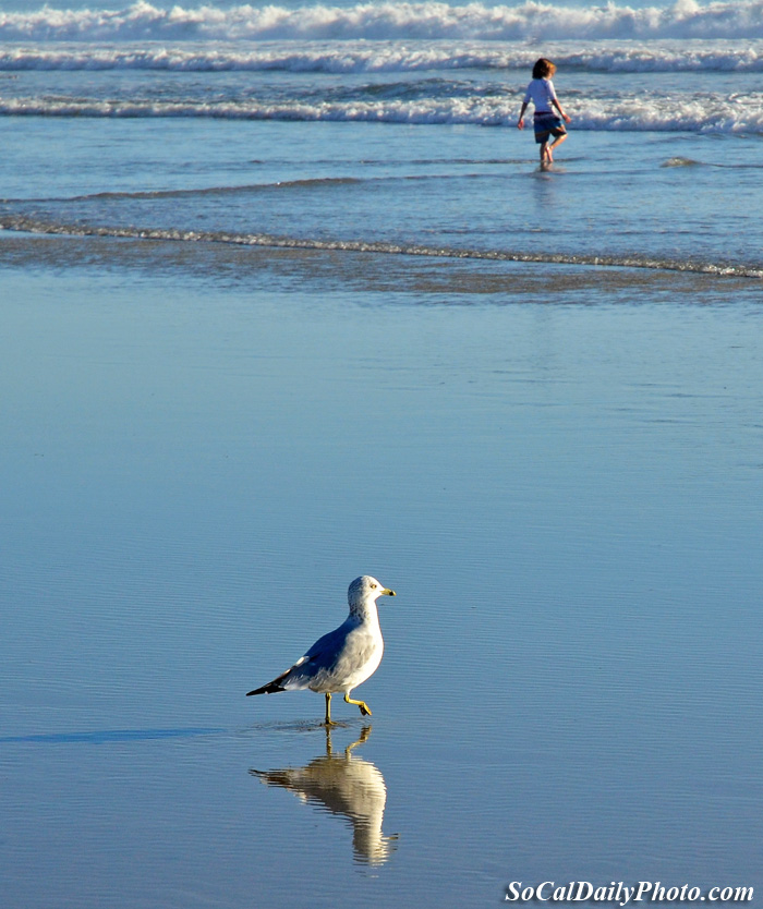 at the beach