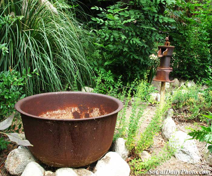 cauldron Pomona