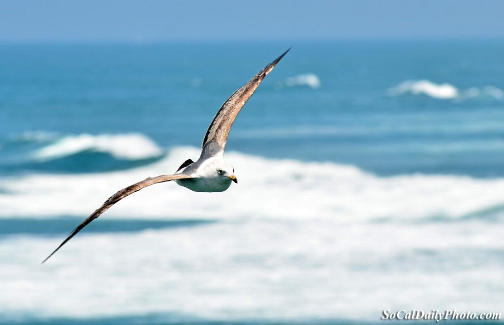 Huntington Beach