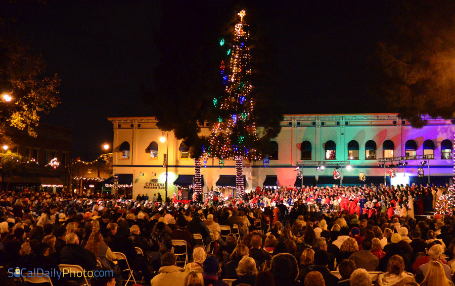 City of Orange Annual Tree Lighting Ceremony Southern California