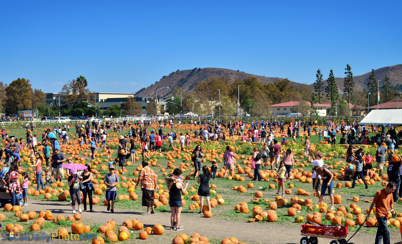 Pumpkin Festival Southern California